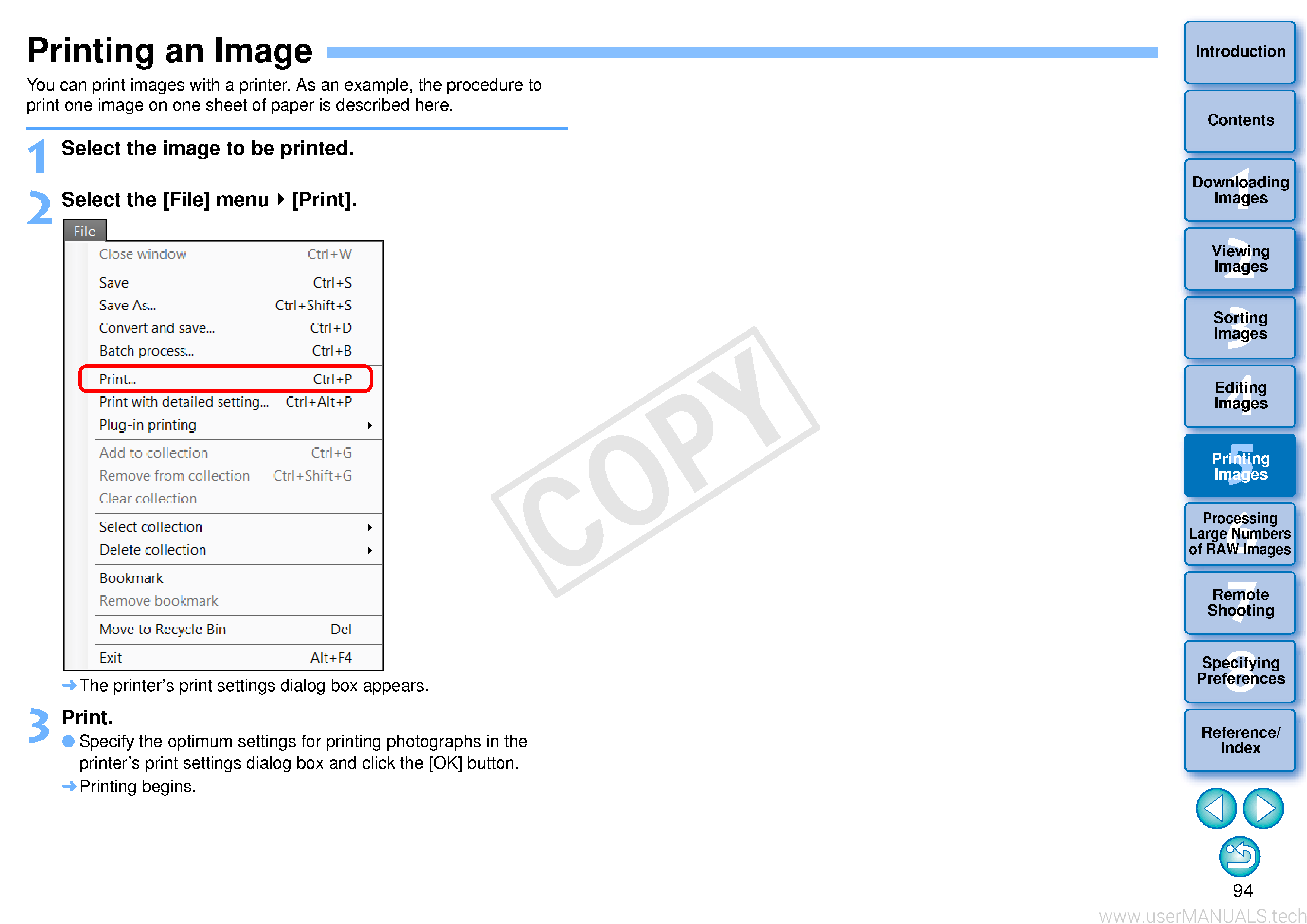 Canon Dpp 4 Manual, Page: 10