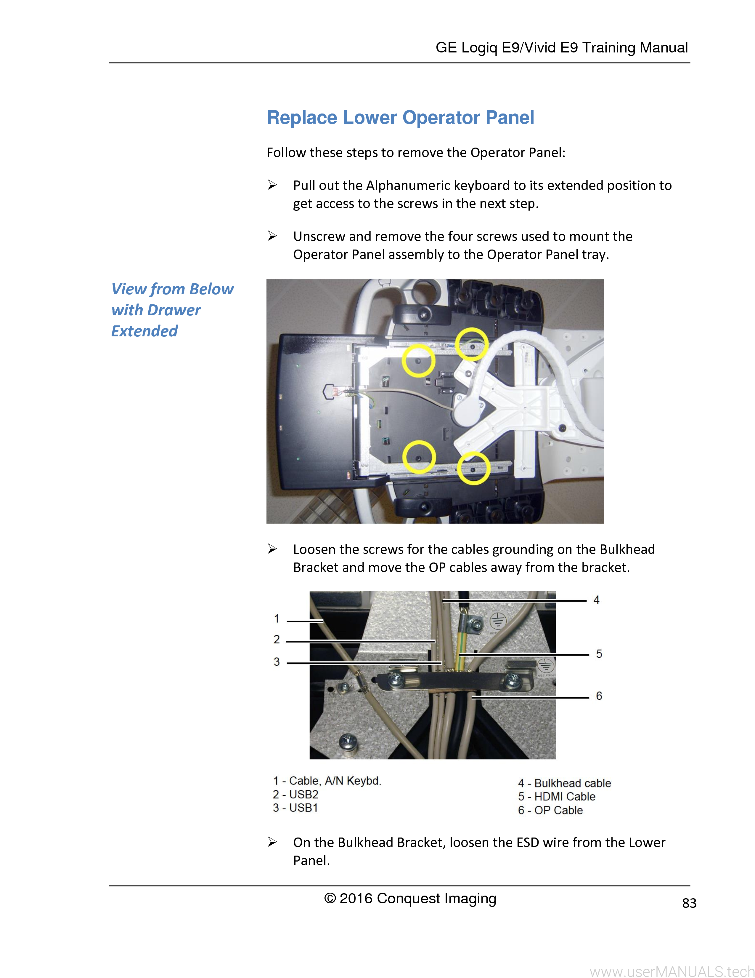 GE Vivid E9 User Manual, Page: 9