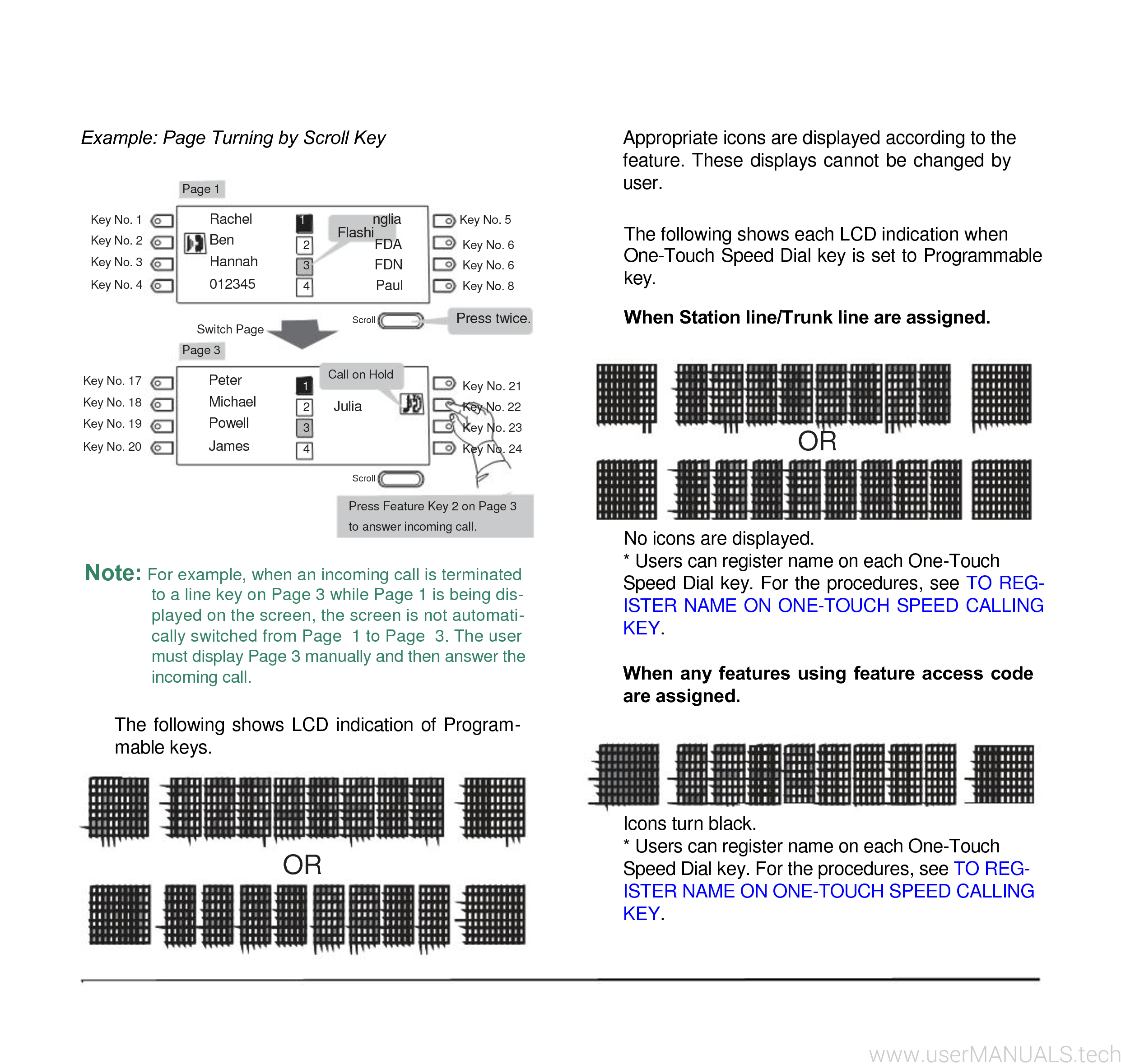 NEC Terminal DT300 Users Guide