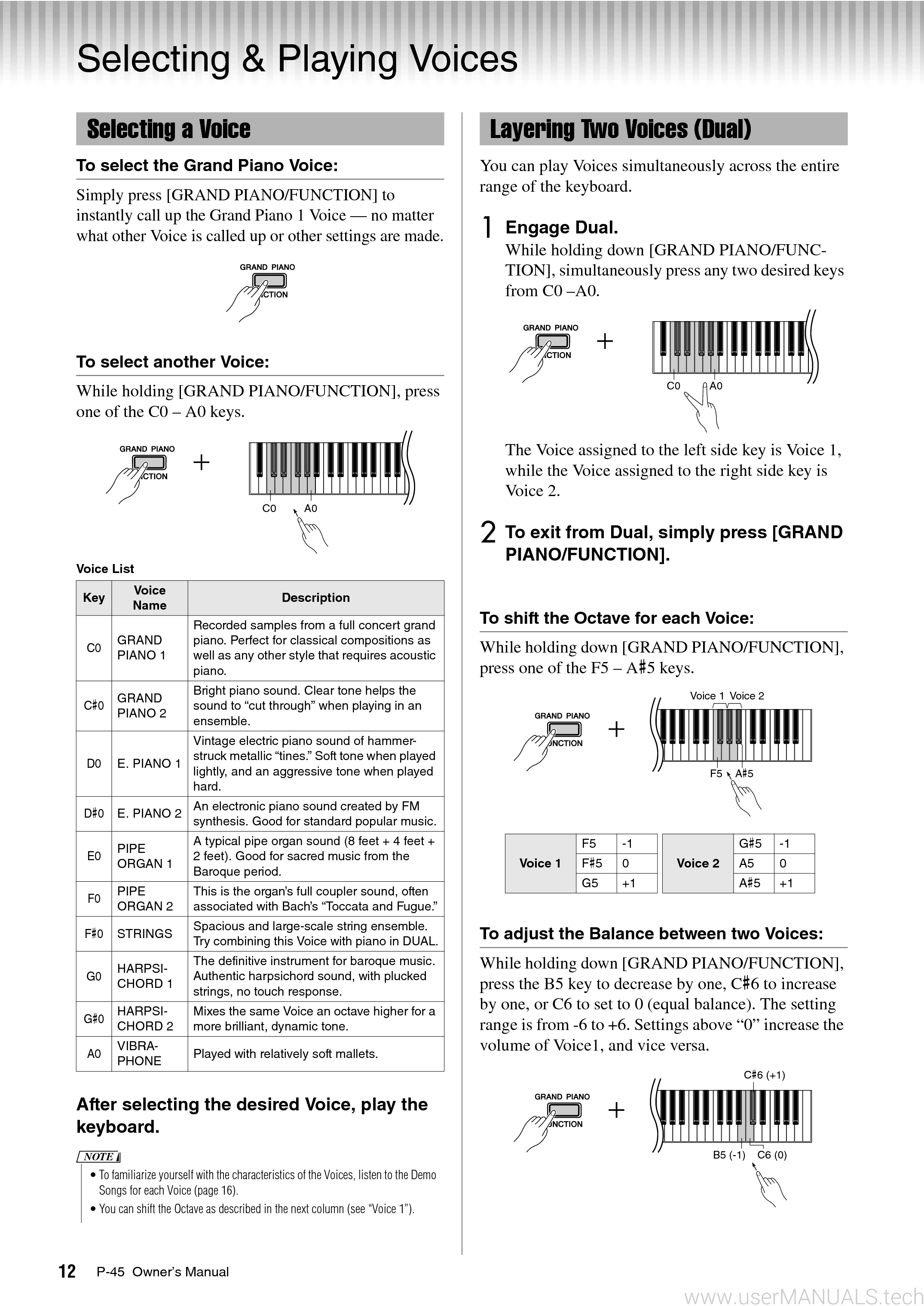 Yamaha P45 Owners Manual, Page: 2