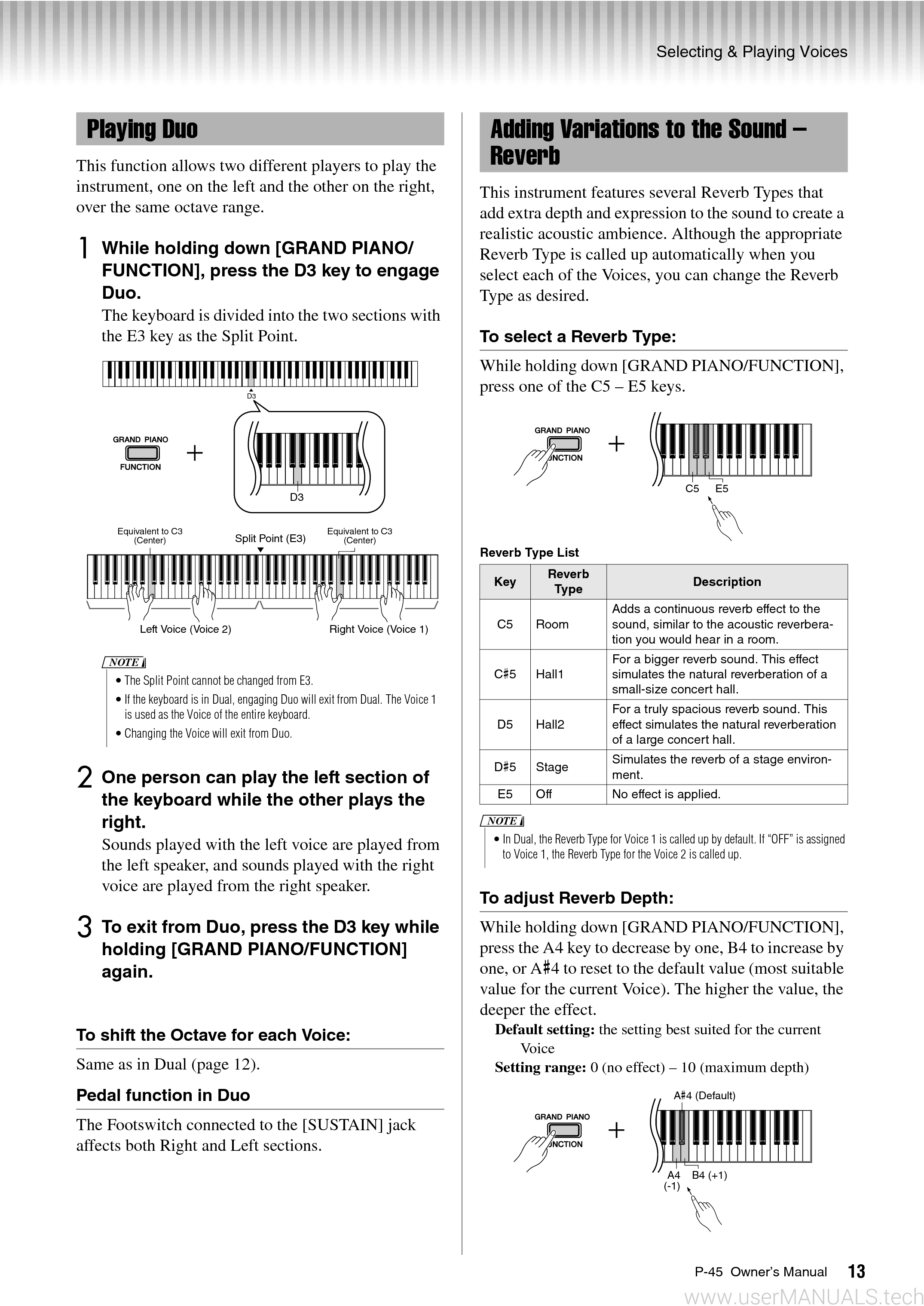 Yamaha P45 Owners Manual, Page: 2