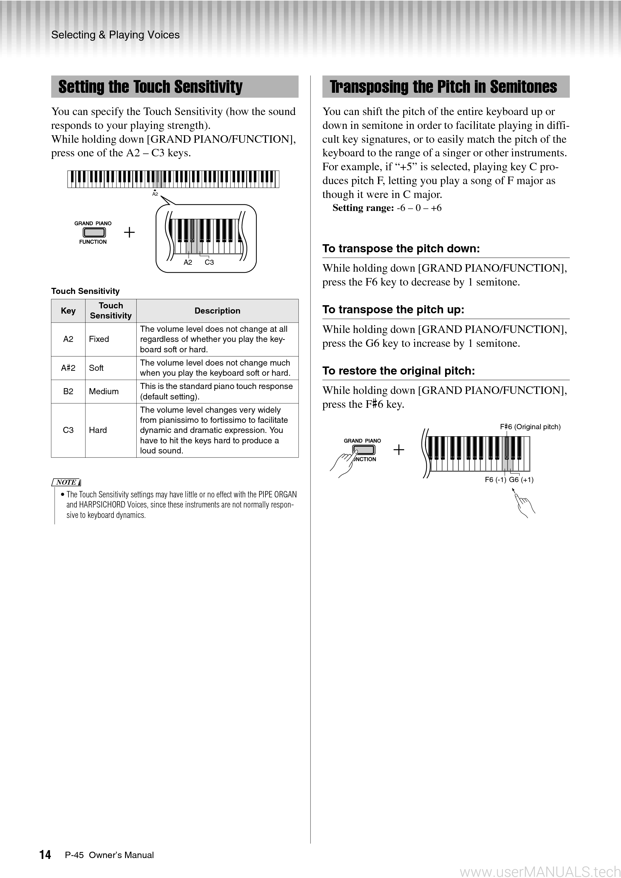 Yamaha P45 Owners Manual, Page: 2