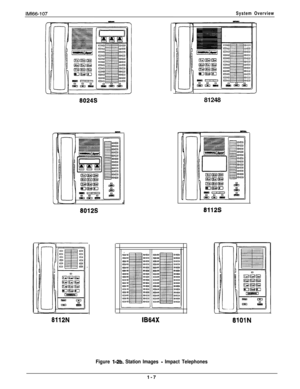 Page 11System Overview
8024s
J
8012s
8112N81248IB64X
8112s
I
8101N
Figure l-2b. Station Images - Impact Telephones1-7 