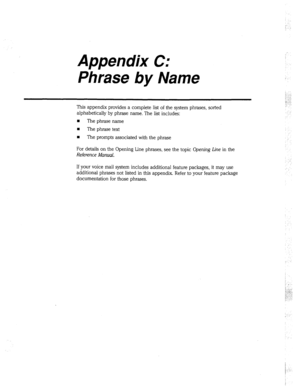 Page 311Appendix C: 
Phrase by Name 
This appendix provides a complete list of the system phrases, sorted 
alphabetically by phrase name. The list includes: 
n The phrase name 
n The phrase text 
w 
The prompts associated with the phrase 
For details on the Opening Line phrases, see the topic Opening 
Line in the 
Reference Manual. 
If your voice mail system includes additional feature packages, it may use 
additional phrases not listed in this appendix. Refer to your feature package 
documentation for those...