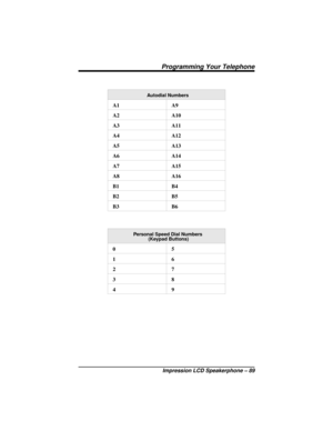 Page 95Autodial Numbers
A1 A9
A2 A10
A3 A11
A4 A12
A5 A13
A6 A14
A7 A15
A8 A16
B1 B4
B2 B5
B3 B6
Personal Speed Dial Numbers
(Keypad Buttons)
05
16
27
38
49
Programming Your Telephone
Impression LCD Speakerphone – 89 