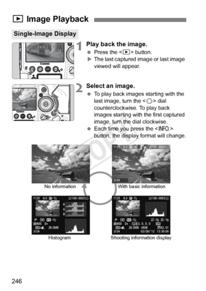 Page 246246
1Play back the image.
 Press the < x> button.
X The last captured image or last image 
viewed will appear.
2Select an image.
  To play back images starting with the 
last image, turn the < 5> dial 
counterclockwise. To play back 
images starting with the first captured 
image, turn the dial clockwise.
  Each time you press the < B> 
button, the display format will change.
x  Image Playback
Single-Image Display
No information
Histogram With basic information
Shooting information display
COPY  