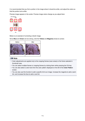 Page 772It is recommended that you find a portion in the image where it should be white, and adjust the colors sothat the portion turns white.
Preview image appears in the center. Preview image colors change as you adjust them.
Below is an example of correcting a bluish image.
Since  Blue and  Green  are too strong, click the  Yellow and Magenta  arrows to correct.
BeforeAfter
Note
