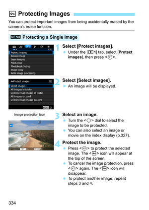 Page 334334
You can protect important images from being accidentally erased by the camera’s erase function.
1Select [Protect images].
Under the [3 1] tab, select [Protect 
images], then press < 0>.
2Select [Select images].
An image will be displayed.
3Select an image.
 Turn the < 5> dial to select the 
image to be protected.
 You can also select an image or 
movie on the index display (p.327).
4Protect the image.
Press < 0> to protect the selected 
image. The < K> icon will appear at 
the top of the...