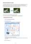 Page 281Execute Borderless PrintingThe borderless printing function allows you to print data without any margin by enlarging the data so that it
extends slightly off the paper. In standard printing, margins are created around the document area.
However, in borderless printing function, these margins are not created. When you want to print data such
as a photo without providing any margin around it, set borderless printing.
The procedure for performing borderless printing is as follows:
You can also set...