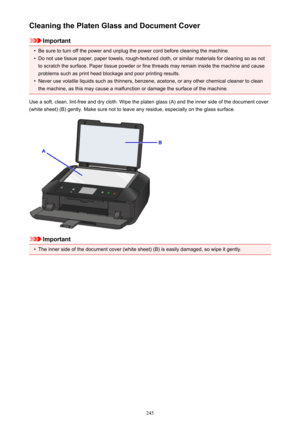 Page 245Cleaning the Platen Glass and Document Cover
Important
