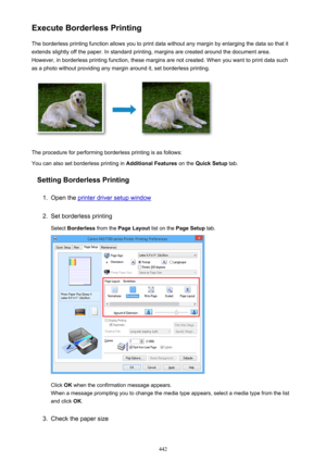 Page 442Execute Borderless PrintingThe borderless printing function allows you to print data without any margin by enlarging the data so that it
extends slightly off the paper. In standard printing, margins are created around the document area.
However, in borderless printing function, these margins are not created. When you want to print data such
as a photo without providing any margin around it, set borderless printing.
The procedure for performing borderless printing is as follows:
You can also set...