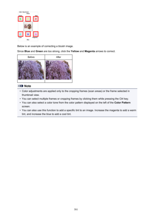Page 581Below is an example of correcting a bluish image.
Since  Blue and  Green  are too strong, click the  Yellow and Magenta  arrows to correct.
BeforeAfter
Note
•
Color adjustments are applied only to the cropping frames (scan areas) or the frame selected in
thumbnail view.
•
You can select multiple frames or cropping frames by clicking them while pressing the Ctrl key.
•
You can also select a color tone from the color pattern displayed on the left of the  Color Pattern
screen.
•
You can also use this...