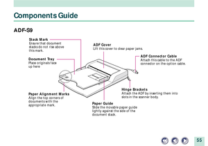 Page 5555
Components Guide
ADF-S9
ADF Connector CableAttach this cable to the ADF
connector on the option cable.
ADF CoverLift this cover to clear paper jams.
Hinge BracketsAttach the ADF by inserting them into
slots in the scanner body.
Document TrayPlace originals face
up here
Paper Alignment MarksAlign the top corners of
documents with the
appropriate mark.
Paper GuideSlide the movable paper guide
lightly against the side of the
document stack.
Stack MarkEnsure that document
stacks do not rise above
this mark. 