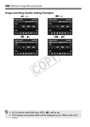 Page 120120
3 Setting the Image-Recording Quality
Image-recording Quality Setting Examples
73 only
61
 + 74
1
 + 73 1
 only
 If [–] is set for both RAW and JPEG,  73 will be set.
  The number of possible shots will be  displayed up to 1999 on the LCD 
panel.
COPY  