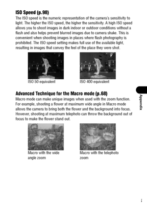 Page 167165
Appendix
ISO Speed (p.98)
The ISO speed is the numeric representation of the camera’s sensitivity to 
light. The higher the ISO speed, the higher the sensitivity. A high ISO speed 
allows you to shoot images in dark indoor or outdoor conditions without a 
flash and also helps prevent blurred images due to camera shake. This is 
convenient when shooting images in places where flash photography is 
prohibited. The ISO speed setting makes full use of the available light, 
resulting in images that convey...