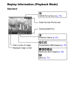 Page 2422
Replay Information (Playback Mode)
Standard
Protection Status (p. 81)
WAVE Format Sound (p. 75)
Folder Number-File Number
Shooting Date/Time
Displayed image number Total number of images
Movie 
(p. 71)
Compression (Still Images) (p. 37)
Resolution (Still Images) (p. 36)
 