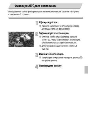 Page 103103
Перед съемкой можно фиксировать или изменять экспозицию с шагом 1/3 ступени 
в диапазоне ±2 ступени.
Сфокусируйтесь.
∆Нажмите наполовину кнопку спуска затвора 
для осуществления фокусировки.
Зафиксируйте экспозицию.
∆Отпустив кнопку спуска затвора, нажмите 
кнопкуo, чтобы зафиксировать экспозицию. 
Отображается шкала сдвига экспозиции.
∆Для отмены фиксации нажмите кнопку o 
еще раз.
Измените экспозицию.
∆Контролируя изображение на экране, диском – 
настройте яркость.
Произведите съемку.
Фиксация...