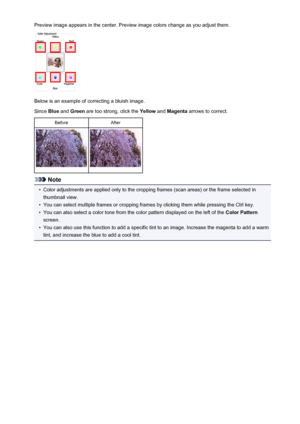 Page 143Preview image appears in the center. Preview image colors change as you adjust them.
Below is an example of correcting a bluish image.
Since  Blue and  Green  are too strong, click the  Yellow and Magenta  arrows to correct.
BeforeAfter
Note
•
Color adjustments are applied only to the cropping frames (scan areas) or the frame selected in
thumbnail view.
•
You can select multiple frames or cropping frames by clicking them while pressing the Ctrl key.
•
You can also select a color tone from the color...