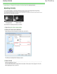 Page 47On-screen Manual > Changing the Print Quality and Correcting Image Data > Adjusting Intensity 
Adjusting Intensity 
You can dilute (brighten) or intensify (darken) the  colors of the overall image data during printing.
If you want to sharpen the print results, you shoul d intensify the colors.
The following sample shows the case when the intens ity is increased so that all colors become more
intense when the image data is printed. 
No adjustment Higher Intensity 
The procedure for adjusting intensity is...