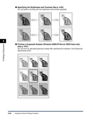 Page 2414-24
Printing a Document
Using the Various Printing Functions
4
■Specifying the Brightness and Contrast (See p. 4-65)
You can perform printing with the brightness and contrast speciﬁed.
■Printing a Grayscale Sample (Windows 2000/XP/Server 2003/Vista only) 
(See p. 4-67)
You can print an adjusted grayscale sample after specifying the settings in the [Grayscale 
Adjustment] sheet.
 