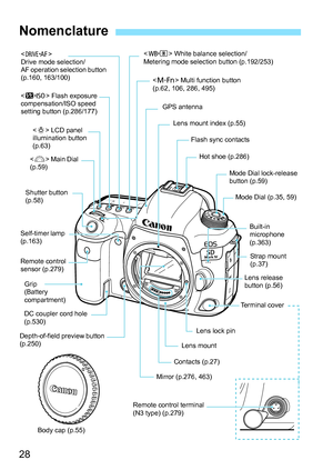 Page 30
28
Nomenclature
 
Drive mode selection/
AF operation selection button 
(p.160, 163/100)
< m > Flash exposure 
compensation/ISO speed 
setting button (p.286/177)
 LCD panel 
illumination button 
(p.63)
< 6 > Main Dial 
(p.59)
Shutter button 
(p.58)
Self-timer lamp 
(p.163)
Remote control 
sensor (p.279) Grip 
(Battery 
compartment)
DC coupler cord hole 
(p.530)
Depth-of-field preview button 
(p.250)
Mirror (p.276, 463)
<
n > White balance selection/
Metering mode selection button (p.192/253)
Lens mount...