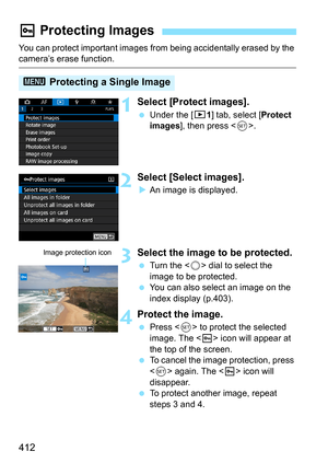 Page 414
412
You can protect important images from being accidentally erased by the camera’s erase function.
1Select [Protect images].
 Under the [ 31] tab, select [ Protect 
images ], then press < 0>.
2Select [Select images].
XAn image is displayed.
3Select the image to be protected.
  Turn the < 5> dial to select the 
image to be protected.
  You can also select an image on the 
index display (p.403).
4Protect the image.
 Press < 0> to protect the selected 
image. The < K> icon will appear at 
the top of the...