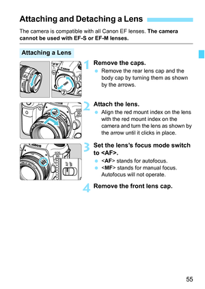 Page 57
55
The camera is compatible with all Canon EF lenses. The camera 
cannot be used with EF-S or EF-M lenses.
1Remove the caps.
 Remove the rear lens cap and the 
body cap by turning them as shown 
by the arrows.
2Attach the lens.
 Align the red mount index on the lens 
with the red mount index on the 
camera and turn the lens as shown by 
the arrow until it clicks in place.
3Set the lens’s focus mode switch 
to .
  stands for autofocus.
   stands for manual focus. 
Autofocus will not operate.
4Remove the...