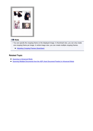 Page 687Note
•
You can specify the cropping frame on the displayed image. In thumbnail view, you can only createone cropping frame per image. In whole image view, you can create multiple cropping frames.
Adjusting Cropping Frames (ScanGear)
Related Topic
Scanning in Advanced Mode
Scanning Multiple Documents from the ADF (Auto Document Feeder) in Advanced Mode
687
 