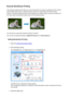 Page 281Execute Borderless PrintingThe borderless printing function allows you to print data without any margin by enlarging the data so that it
extends slightly off the paper. In standard printing, margins are created around the document area.
However, in borderless printing function, these margins are not created. When you want to print data such
as a photo without providing any margin around it, set borderless printing.
The procedure for performing borderless printing is as follows:
You can also set...