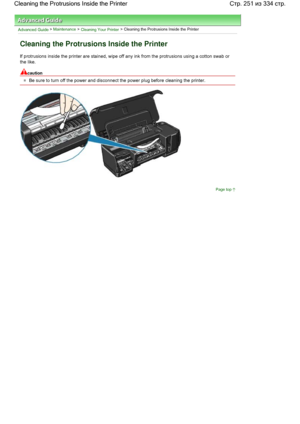 Page 251Advanced Guide > Maintenance > Cleaning Your Printer > Cleaning the Protrusions Inside the Printer
Cleaning the Protrusions Inside the Printer
If protrusions inside the printer are stained, wipe off any ink from the protrusions using a cotton swab or
the like.
caution
Be sure to turn off the power and disconnect the power plug before cleaning the printer.
Page top
Стр. 251 из 334 стр. Cleaning the Protrusions Inside the Printer
 