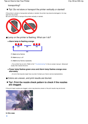 Page 63transporting?
 Tip!: Do not store or transport the printer vertically or slanted!
If the printer is stored or transported vertically or slanted, the printer may become damaged or ink may
leak from the printer.
Be sure not to store or transport the printer vertically or slanted.
 Lamp on the printer is flashing: What can I do?
 Alarm lamp is flashing orange.
(A) Alarm lamp flashes
(B) Alarm lamp is off
(C) Alarm lamp flashes repeatedly
→Your printer has an error. Refer to the Troubleshooting in the...