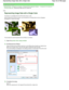 Page 316Advanced Guide > Printing from a Computer > Printing with Other Application Software > Changing the Print Quality and
Correcting Image Data
 > Representing Image Data with a Single Color 
P022 
Representing Image Data with a Single Color 
This feature is unavailable when the XPS printer dr iver is used. 
W ith the Monochrome Effects function, you can benefit fr om coloring effects such as changing a
photograph to a sepia tone image. 
The procedure for performing Monochrome Effects is  as follows: 
1.Open...