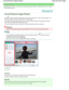 Page 530Advanced Guide > Scanning > Scanning with the Bundled Application Software > MP Navigator EX Screens > Correct/
Enhance Images W indow
Correct/Enhance Images Window
Click  (Image Correction/Enhancement) in the View & Use w indow or click Fix photo images in the
Task Button area to open the Correct/Enhance Images  window.
In the Correct/Enhance Images window, you can make  advanced settings including image correction/
enhancement and brightness/contrast adjustment.
You can also display the source image...