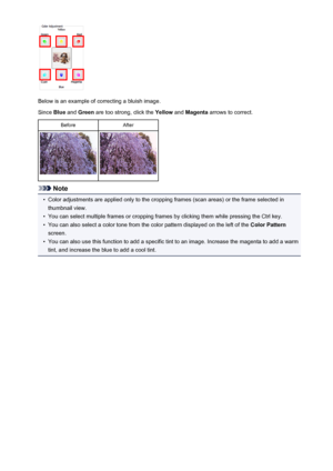 Page 581Below is an example of correcting a bluish image.
Since  Blue and  Green  are too strong, click the  Yellow and Magenta  arrows to correct.
BeforeAfter
Note
•
Color adjustments are applied only to the cropping frames (scan areas) or the frame selected in
thumbnail view.
•
You can select multiple frames or cropping frames by clicking them while pressing the Ctrl key.
•
You can also select a color tone from the color pattern displayed on the left of the  Color Pattern
screen.
•
You can also use this...