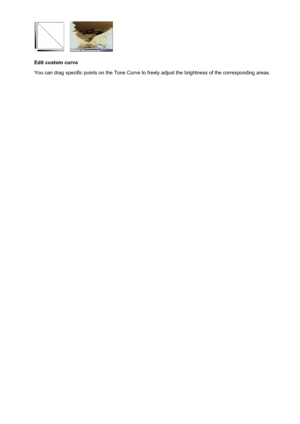 Page 592Edit custom curve
You can drag specific points on the Tone Curve to freely adjust the brightness of the corresponding areas.
592
 
