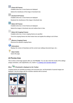 Page 600 (Check All Frames)
Available when two or more frames are displayed.
Selects the checkboxes of the image in thumbnail view.
 (Uncheck All Frames)
Available when two or more frames are displayed.
Deselects the checkboxes of the image in thumbnail view.
 (Select All Frames)
Available when two or more frames are displayed.
Selects the images in thumbnail view and outlines them in blue.
 (Select All Cropping Frames)
Available when two or more cropping frames are specified.
Turns the cropping frames into...