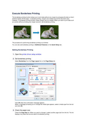 Page 20Execute Borderless Printing
The borderless printing function allows you to print data without any margin by enlarging the data so that it extends slightly off the paper. In standard printing, margins are created around the document area. However, in borderless printing function, these margins are not created. When you want to print data such
as a photo without providing any margin around it, set borderless printing.
The procedure for performing borderless printing is as follows:
You can also set...