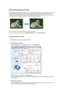 Page 20Execute Borderless Printing
The borderless printing function allows you to print data without any margin by enlarging the data so that it extends slightly off the paper. In standard printing, margins are created around the document area. However, in borderless printing function, these margins are not created. When you want to print data such
as a photo without providing any margin around it, set borderless printing.
The procedure for performing borderless printing is as follows:
You can also set...