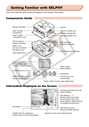 Page 6


Getting Familiar with SELPHY
Learn more about the parts names and displays on the screen in this sect\
ion.
Components Guide
Information Displayed on the Screen
Memory Card Slots
Paper Cassette Compartment
Paper Cassette Compartment Cover
Color Ink Cassette Lock
Color Ink Cassette Slot
Color Ink Cassette Cover
USB Terminal for Computer Connection
DC IN (Power Input) Terminal
USB Terminal for Camera Connection
Battery Cover(Air vents are behind  the battery cover)
Paper Ejection Slot
Screen (LCD...