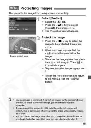 Page 115
115
This prevents the image from being erased accidentally.
1Select [Protect].
¡Select the [ x] tab.
¡ Press the < V> key to select 
[ Protect ], then press < 0>.
s The Protect screen will appear.
2Protect the image.
¡Press the < U> key to select the 
image to be protected, then press 
< 0 >.
s When an image is protected, the 
 icon will appear below the 
image.
¡ To cancel the image protection, press 
the < 0> button again. The < K>
icon will disappear.
¡ To protect another image, repeat step 
2.
¡ To...