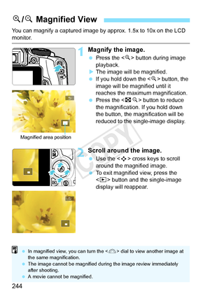 Page 244244
You can magnify a captured image by approx. 1.5x to 10x on the LCD 
monitor.
1Magnify the image.
 Press the < u> button during image 
playback.
X The image will be magnified.
  If you hold down the < u> button, the 
image will be magnified until it 
reaches the maximum magnification.
  Press the < Hy> button to reduce 
the magnification.  If you hold down 
the button, the magnification will be 
reduced to the single-image display.
2Scroll around the image.
  Use the < S> cross keys to scroll 
around...