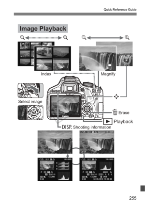 Page 255255
Quick Reference Guide
Image Playback
Magnify
Index
yuyu
B
Erase
Playbackx
L
Select imageS
Shooting information
COPY  