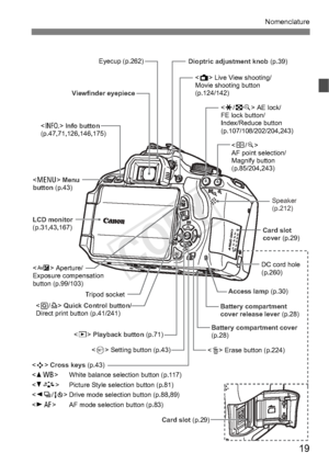 Page 1919
Nomenclature
Tripod socketAccess lamp
 (p.30)
Battery compartment 
cover release lever  (p.28)
Battery compartment cover  
(p.28)
 Aperture/
Exposure compensation 
button (p.99/103) Viewfinder eyepiece
Eyecup (p.262)
Dioptric adjustment knob (p.39)
Card slot 
cover (p.29)
Card slot (p.29)
LCD monitor 
(p.31,43,167)
 Live View shooting/
Movie shooting button
 (p.124/142)
 
AF point selection/
Magnify button 
(p.85/204,243)
 AE lock/
FE lock button/
Index/Reduce button 
(p.107/108/202/204,243)
 Menu...