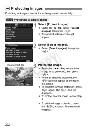 Page 222222
Protecting an image prevents it from being erased accidentally.
1Select [Protect images].
 Under the [ 3] tab, select [Protect 
images ], then press < 0>.
X The protect setting screen will 
appear.
2Select [Select images].
  Select [Select images ], then press 
< 0 >.
3Protect the image.
  Press the < U> key to select the 
image to be protected, then press 
< 0 >.
X When an image is protected, the 
 icon will appear on the top of 
the screen.
  To cancel the image protection, press 
 again. The < K>...