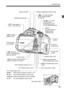 Page 1919
Nomenclature
Tripod socketAccess lamp
 (p.30)
Battery compartment 
cover release lever  (p.28)
Battery compartment cover  
(p.28)
 Aperture/
Exposure compensation 
button (p.99/103) Viewfinder eyepiece
Eyecup (p.262)
Dioptric adjustment knob (p.39)
Card slot 
cover (p.29)
Card slot (p.29)
LCD monitor 
(p.31,43,167)
 Live View shooting/
Movie shooting button
 (p.124/142)
 
AF point selection/
Magnify button 
(p.85/204,243)
 AE lock/
FE lock button/
Index/Reduce button 
(p.107/108/202/204,243)
 Menu...