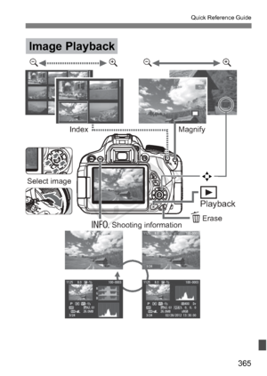 Page 365365
Quick Reference Guide
yuyu
Image Playback
Magnify
Index
BErase
Playbackx
L
Select image
Shooting informationS
COPY  