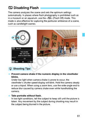 Page 6161
The camera analyzes the scene and sets the optimum settings 
automatically. In places where flash photography is prohibited such as 
in a museum or an aquarium, use the < 7> (Flash Off) mode. This 
mode is also effective for capturi ng the particular ambience of a scene, 
such as candlelight scenes.
 Prevent camera shake if the numeric display in the viewfinder 
blinks.
Under low light when camera shake is prone to occur, the 
viewfinder’s shutter speed display will blink. Hold the camera steady 
or...