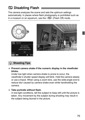 Page 7575
The camera analyzes the scene and sets the optimum settings 
automatically. In places where flash photography is prohibited such as 
in a museum or an aquarium, use the < 7> (Flash Off) mode.
 Prevent camera shake if the numeric display in the viewfinder 
blinks.
Under low light when camera shake is prone to occur, the 
viewfinder’s shutter speed display will blink. Hold the camera steady 
or use a tripod. When using a zoom  lens, use the wide-angle end to 
reduce blur caused by camera shake even...