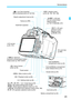 Page 2323
Nomenclature
 Live View shooting/
Movie shooting button (p.134/154)
Dioptric adjustment knob (p.44)
Eyecup (p.269)
Viewfinder eyepiece
LCD monitor
(p.48, 181)
 Aperture/
Exposure compensation button/
Erase button (p.109/112/227)
 Quick Control
button (p.46)
Tripod socket
 Menu button (p.48)
 Playback button (p.80)
 Setting button (p.48)
:  Cross keys (p.48)
 ISO speed setting button (p.88)
 White balance selection button (p.127)
 Drive/Self-timer selection button (p.98, 100)
 AF operation selection...