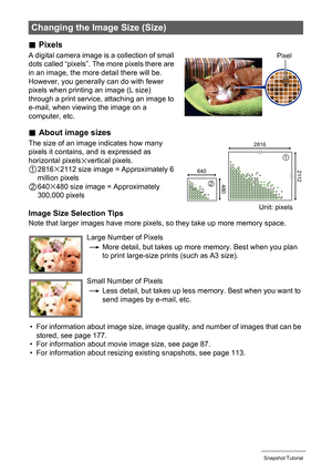 Page 29
29Snapshot Tutorial
.Pixels
A digital camera image is a collection of small 
dots called “pixels”. The more pixels there are 
in an image, the more detail there will be. 
However, you generally can do with fewer 
pixels when printing an image (L size) 
through a print service, attaching an image to 
e-mail, when viewing the image on a 
computer, etc.
.About image sizes
The size of an image indicates how many 
pixels it contains, and is expressed as 
horizontal pixels
xvertical pixels.
12816x2112 size...